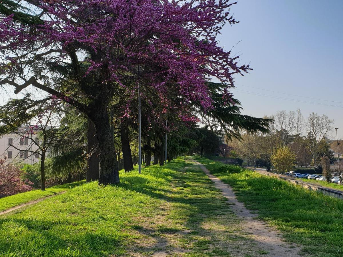 Apartamento Divina San Zeno